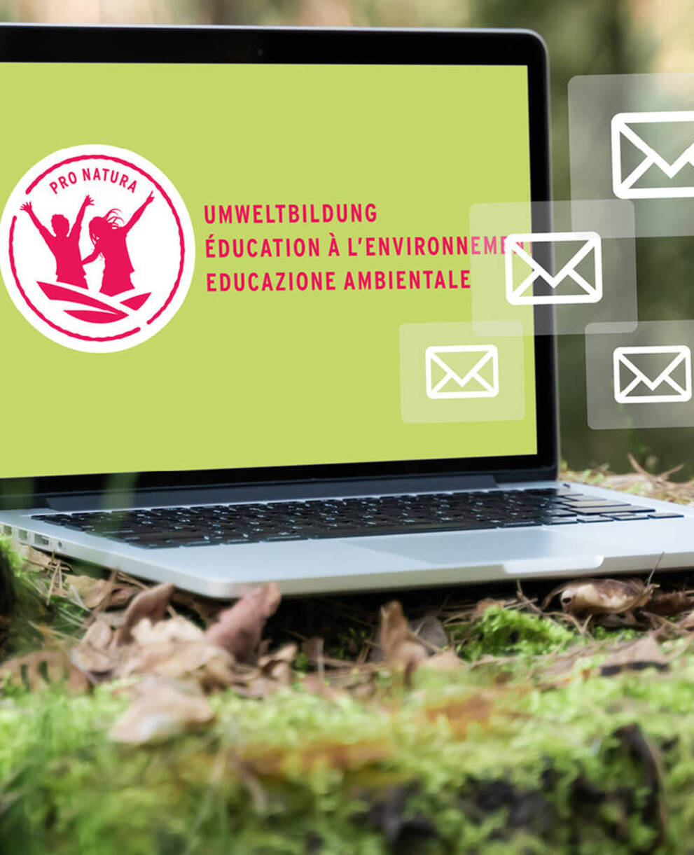 Newsletter educazione