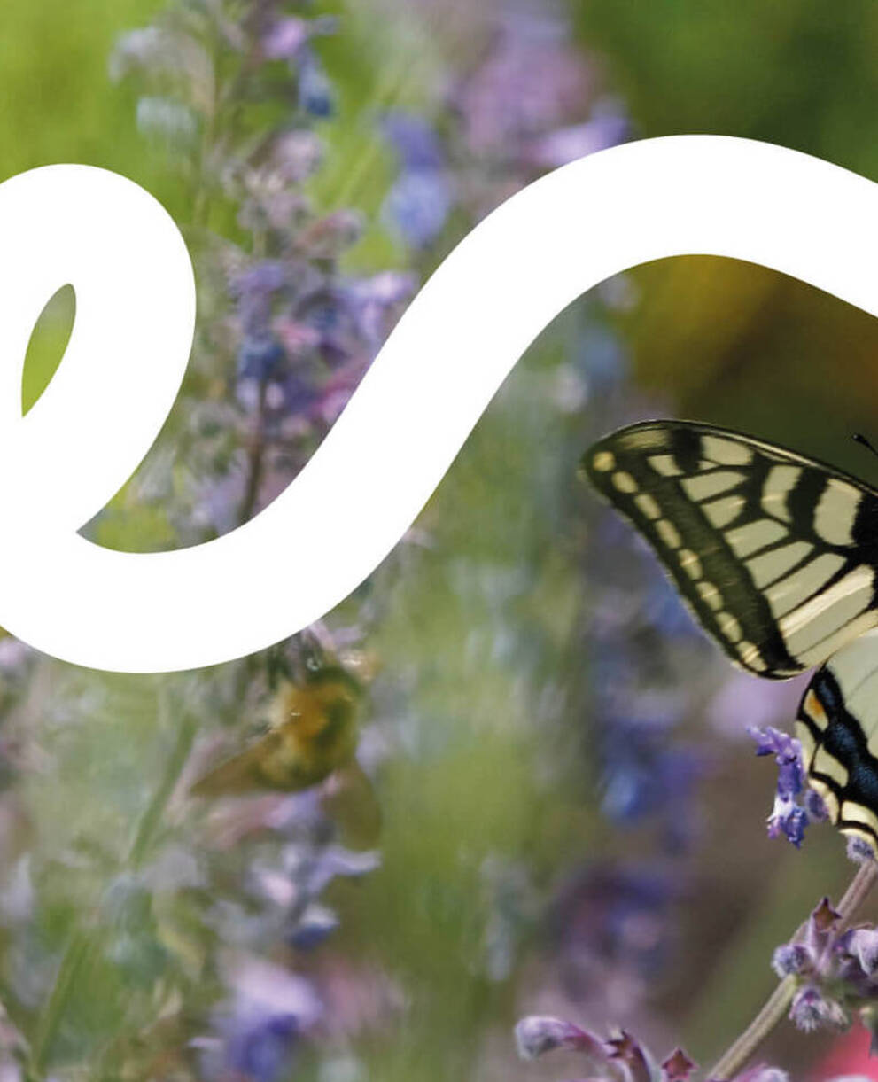 Bonjour Nature - Benvenuta in giardino