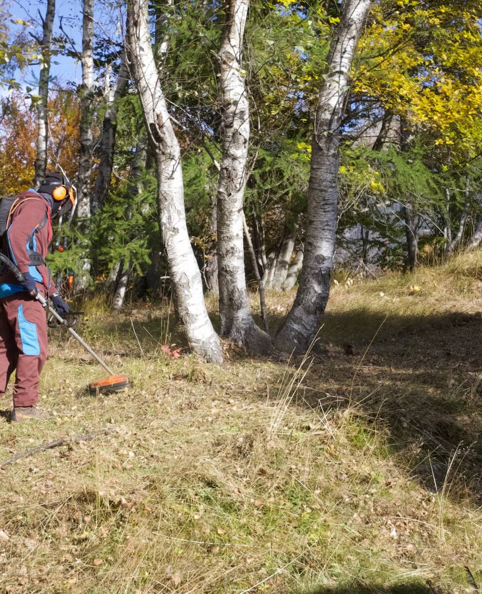 Civilista Naturnetz con decespugliatore