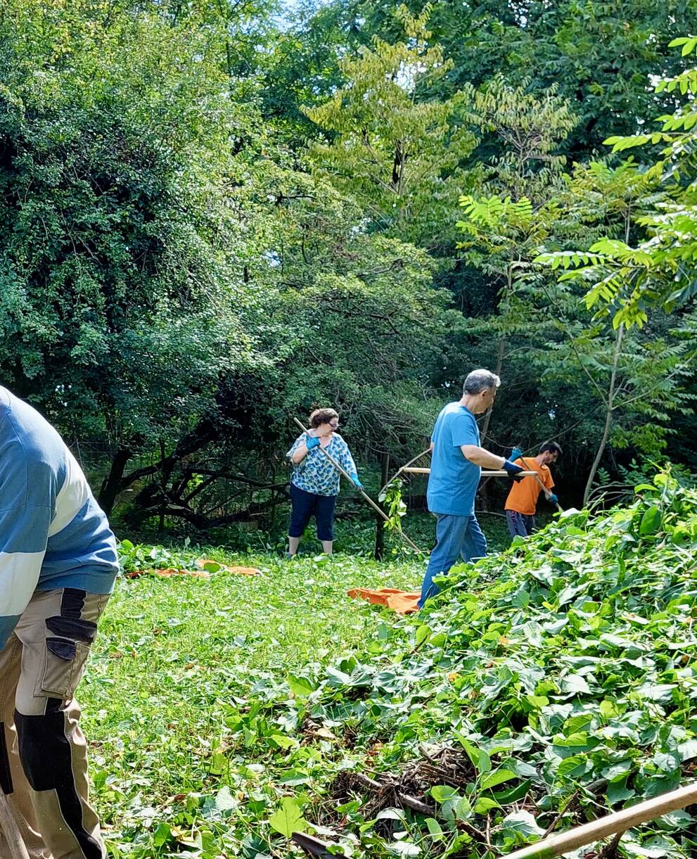 Cugnoli Curti riserva Naturale Poligono del Giappone