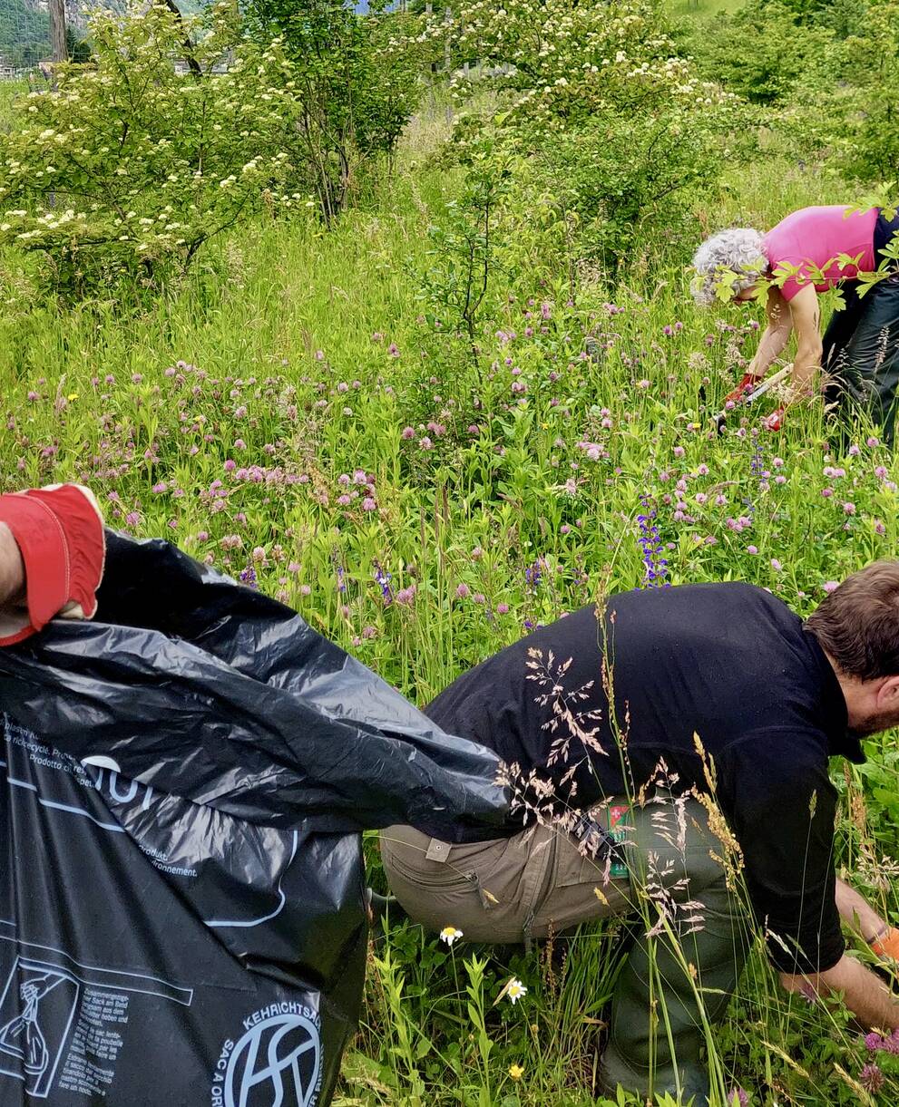 riserva naturale rifiuti neofite invasive