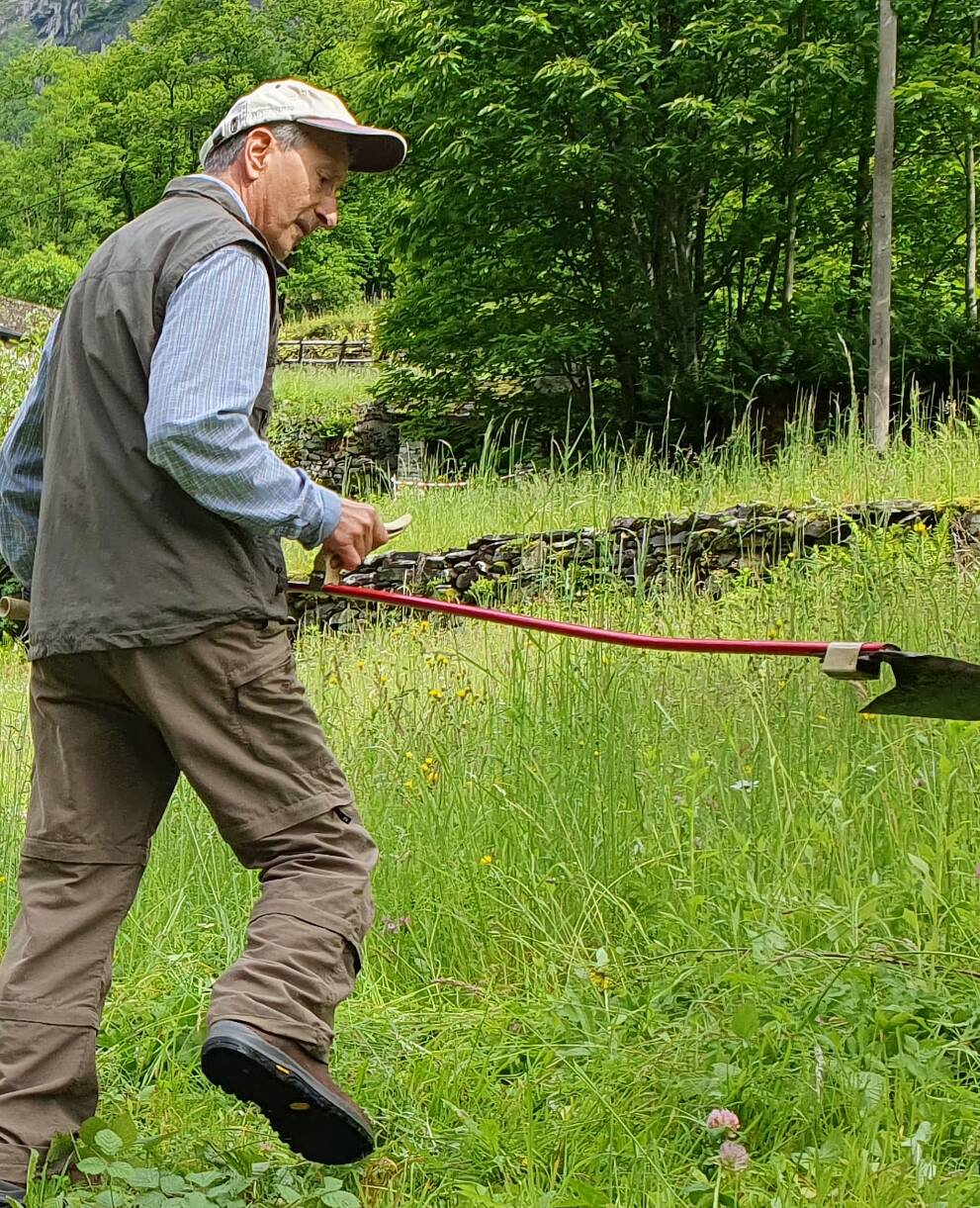Segare con la falce è bello!