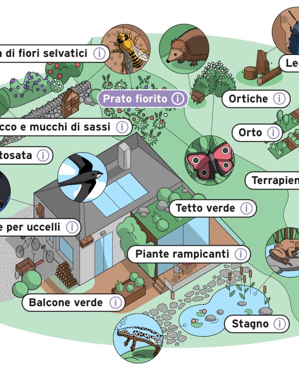 Come valutare il tuo giardino naturale