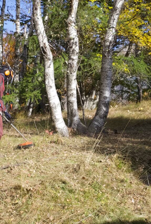 Civilista Naturnetz con decespugliatore