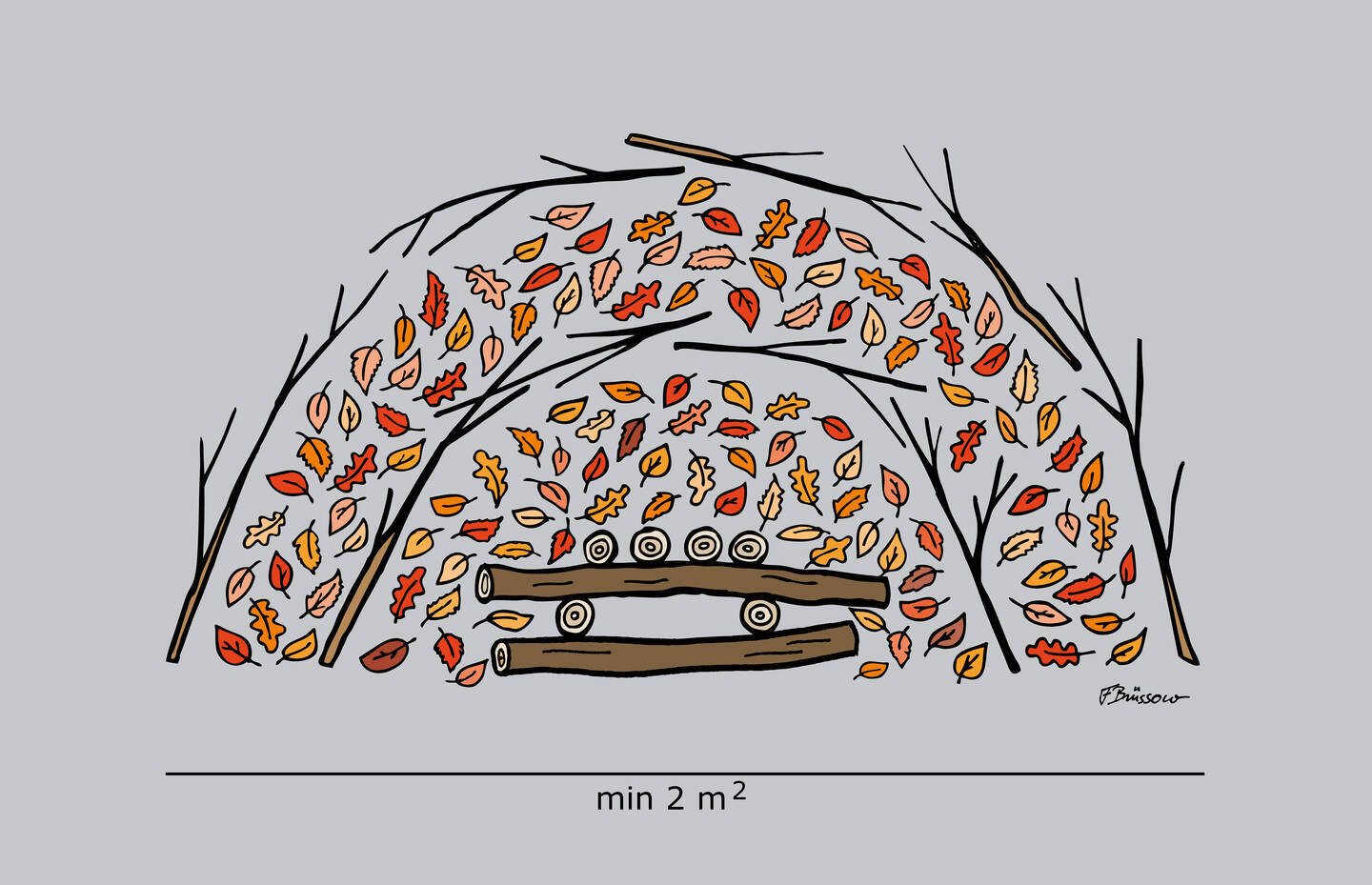 Come costruire un rifugio per ricci con rami e foglie.