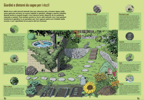 disegno WWF giardino per riccio