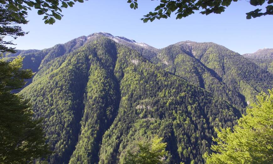 Riserva Forestale dell'Onsernone