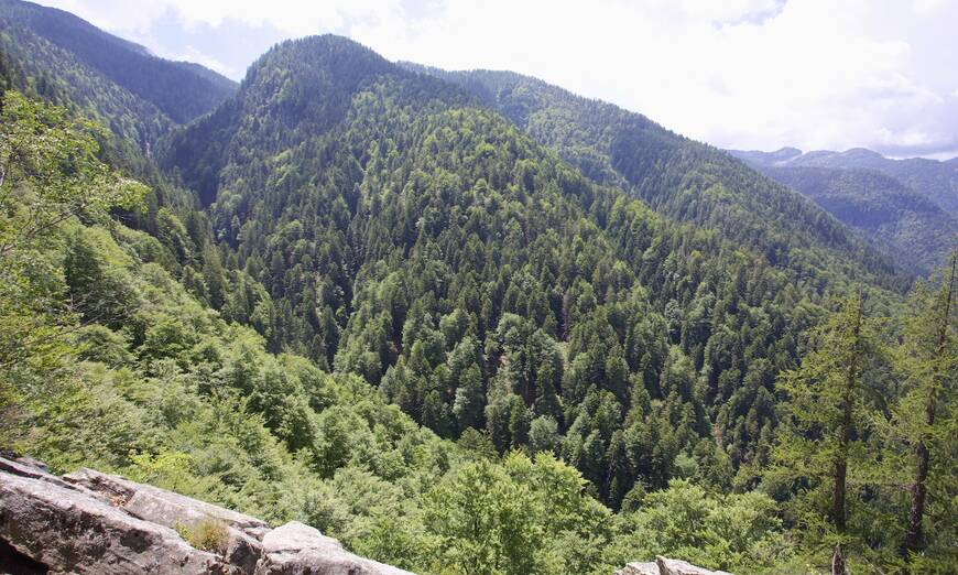 Riserva forestale dell'Onsernone