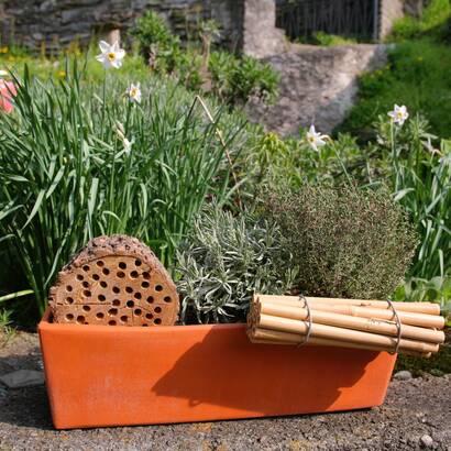 Nido per api selvatiche