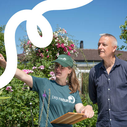 Headerbild BONJOUR NATURE