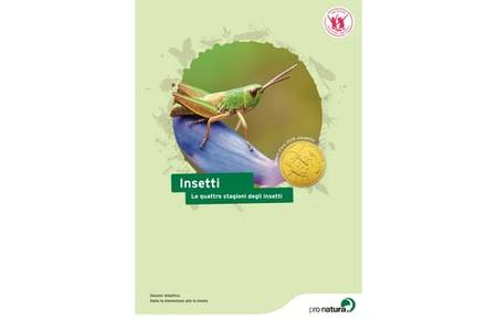 Dossier didattico insetti