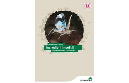 Dossier didattico "Incredibili insetti"
